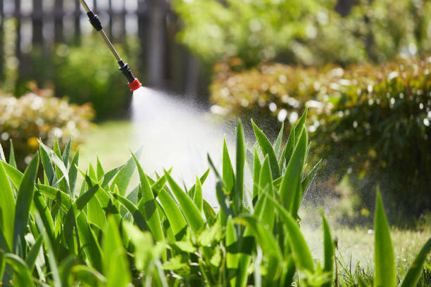 24/7 Emergency Wasp Removal experts in Pisgah, AL