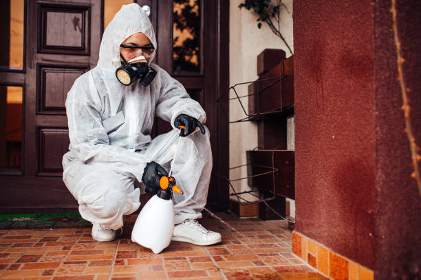 Reliable Wasp Removal contractor in Pisgah, AL by Show Me Pest Control
